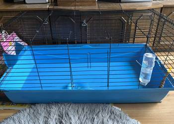 Duża klatka dla królika lub innego gryzonia, 100cm x 50cm x 45cm, niebieska