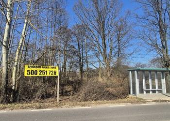 Działka rolna 11900m2 gmina Leoncin