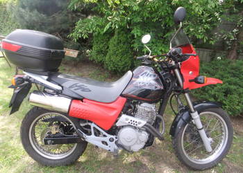 Honda SLR 650 jak Dominator OD KOBIETY na A2