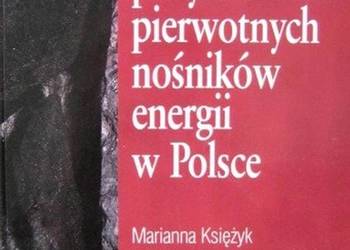 EFEKTYWNOŚĆ POZYSKIWANIA PIERWOTNYCH NOŚNIKÓW ENERGII