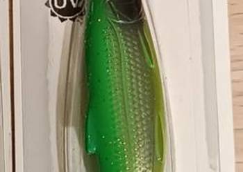 Kuusamo muikku zielona