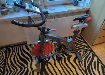 Rower treningowy wyczynowy Asviva - dużo regulacji panel, duża masa koła