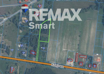 WYJĄTKOWA DZIAŁKA Z WZ 3204 m2 | GRABÓW NAD PILICĄ