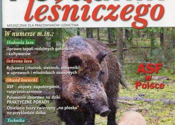 Poradnik leśniczego Nr 1 2020