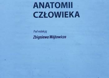 podstawy anatomii człowieka zbigniew wójtowicz  dla studentó podstawy anatomii człowieka zbigniew wójtowicz  dla studentó