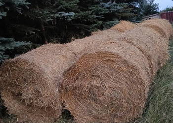 Słoma w belach 20 szt 2025r