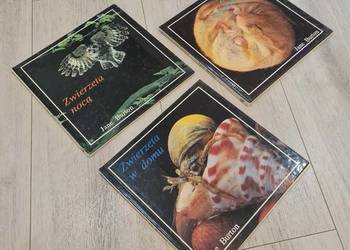 Książka zestaw Zwierzęta