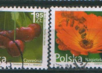 Zn. Fi 4288, 9 kas  2009