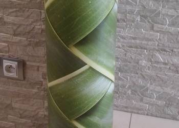 Tapeta z motywem roślinnym 1200 × 70 cm