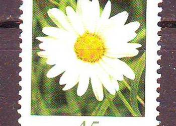 Zn. RFN wykaz w opisie kas 2005 Zn. RFN wykaz w opisie kas 2005