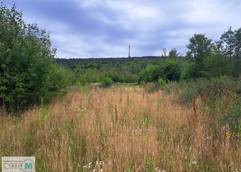 Działka Nowa Słupia 12800m2