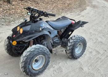 Quad Zamiana Na komara / lub coś innego z prl