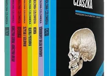 ANATOMIA PRAWIDŁOWA CZŁOWIEKA SKAWINA KPL.1-8