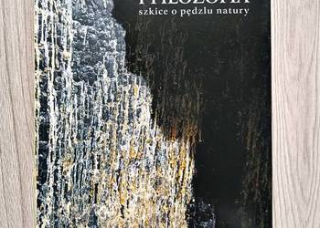 Fotografia i filozofia. Szkice o pędzlu natury - Scott Walden