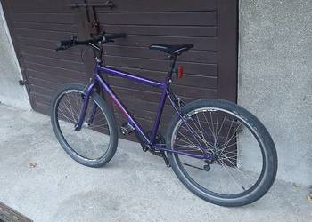 Rower Pegasus 26 cali