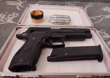 Sig sauer x-five p226