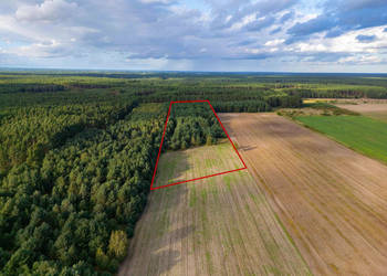 Działka rolna Jędrzejewo, gm. Czarnków
