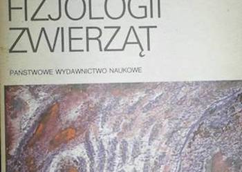 Zarys fizjologii zwierząt - Zygmunt Ewy /fa
