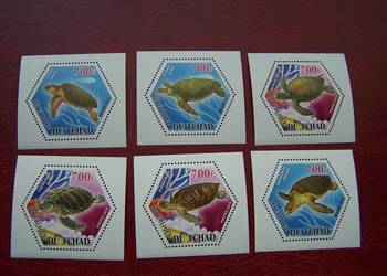 Czad 2014 MNH Fauna Żółwie
