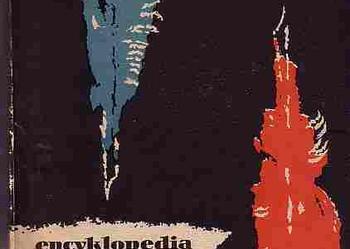 (2905) ENCYKLOPEDIA ALBO SŁOWNIK ROZUMOWANY NAUK, SZTUK I RZEMIOSŁ