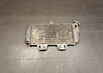 Chłodnica wody cieczy płynu części Yamaha TDR 125 deltabox 5AN 5AE