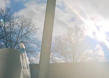 Pomoc domowa od zaraz - dokładnie i uczciwie