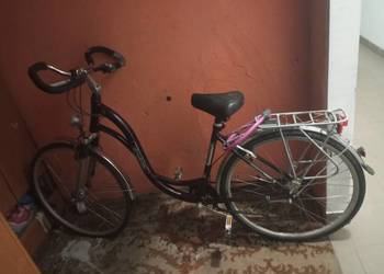 Rower damka miejski cyco