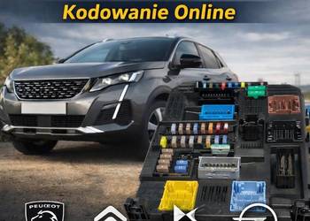 DIAGNOSTYKA KOMPUTEROWA PSA, KODOWANIE ONLINE BSI ECU  Peugeot Citroen Opel