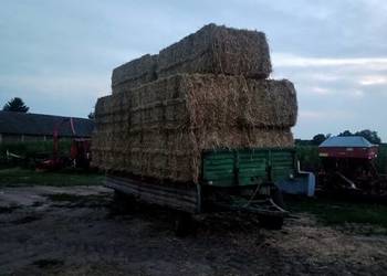 Przyczepa sztywna d 50