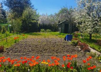 Działka ROD Oleśnica