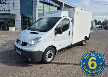 Renault Trafic Renault Trafic 115KM / CHŁODNIA IZOTERMA / THERMO KING