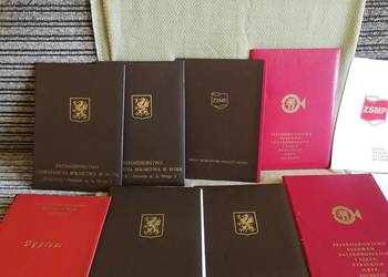 Dyplomy PŻM, PPDiUR Gryf, Wodrol, ZSMP , Szczecin PRL ,Zestaw