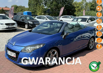 Renault Megane GT Robert Kubica, Gwarancja III (2008-2016)