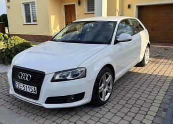 Audi A3 2010r 1.6TDI 105KM ZADBANY