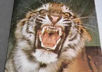 Wielki atlas zwierząt V.J. Stanek Wielki atlas zwierząt V.J. Stanek