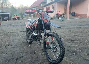 Pilnie sprzedam diabolini fx 250 2010