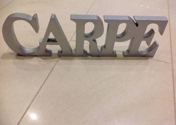 Litery Napis Drewniany CARPE DIEM Srebrny