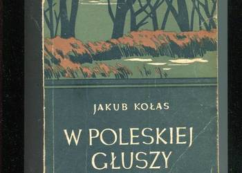 W poleskiej głuszy  Trzęsawisko- Jakub Kołas