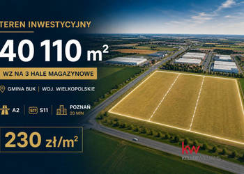 Oferta sprzedaży lokalu Wielka Wieś 40110m2