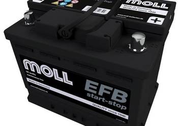 Akumulator Moll 64Ah P+ EFB 82064