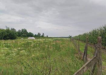 Działka rolna z możliwością zabudowy