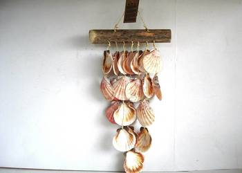 Dekoracja ozdobna muszle dom ogród nowa