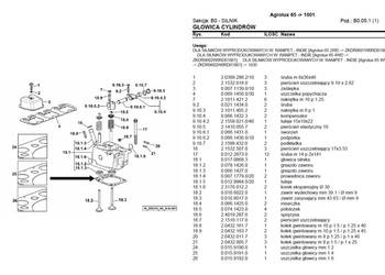 Deutz Fahr Agrolux 65 katalog części po Polsku z AKTUALNYMI numerami katalo