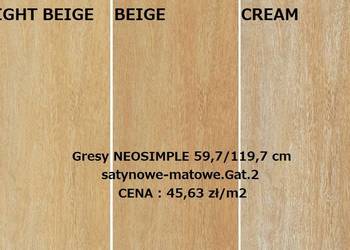 gres 59,7/119,7 neosimple rektyfkowany satynowy-matowy cerr