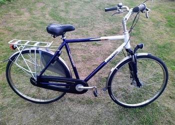 Rower męski Raleigh Priority 28 Alu Nexus 7