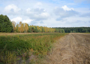 Działka, Klarów, 1,09 ha Działka, Klarów, 1,09 ha