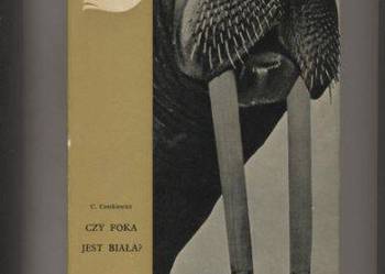 Czy foka jest biała ? - Centkiewiczowie Czy foka jest biała ? - Centkiewiczowie