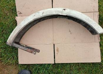 Blotnik przedni komar