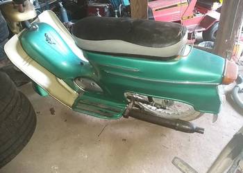 Jawka Jawa wanienka mustang pancerka