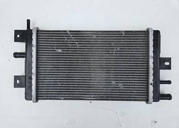 DACIA SPRING CHŁODNICA WODY 1301041-BBG